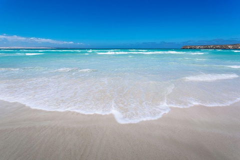 Coffin Bay Oysters, Ocean & Nature Tour - Holiday Adelaide 14