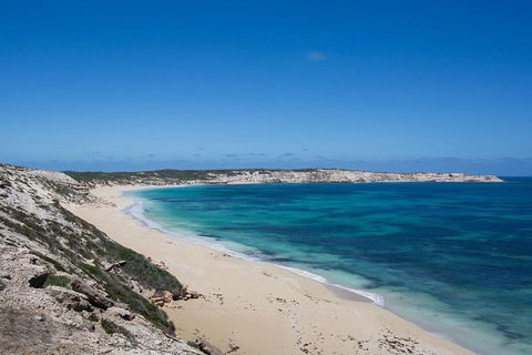 Coffin Bay Oysters, Ocean & Nature Tour - Holiday Adelaide 16