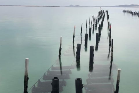 Coffin Bay Oysters, Ocean & Nature Tour - Holiday Adelaide 15