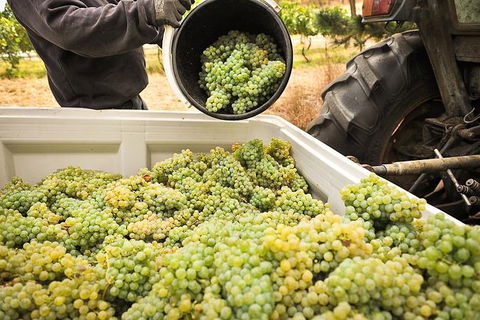 Adelaide Hills Wineries & Hahndorf - Holiday Adelaide 0
