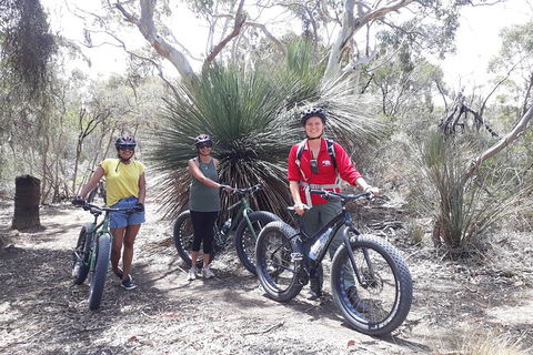 Kangaroo Island 2 Hour Bike Tour - Holiday Adelaide 5