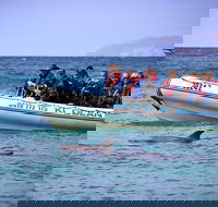 Kangaroo Island 75-Minute Ocean Safari - Holiday Adelaide