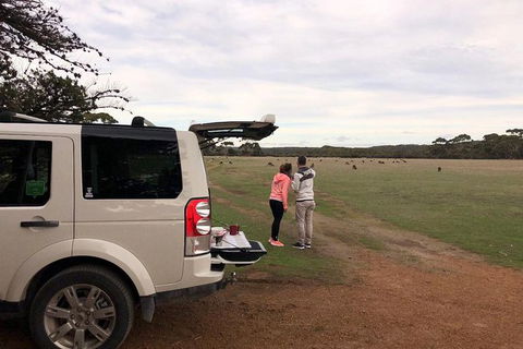 NEW TOUR - Flinders Chase Tour (Recovering From Fires) - Holiday Adelaide 6