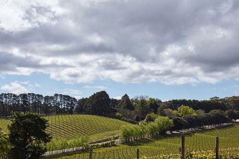 Adelaide Hills Full Day Winery Tour With Tastings - Holiday Adelaide 4