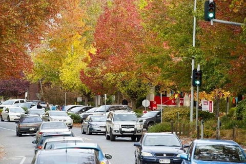 Adelaide Hills Full Day Winery Tour With Tastings - Holiday Adelaide 3