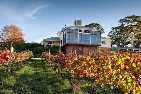 Adelaide Hills Full Day Winery Tour With Tastings - Holiday Adelaide 0