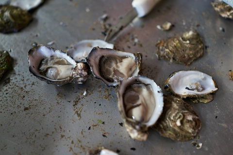 Fine Flavours - Full Day Kangaroo Island Food & Wine Tour - Holiday Adelaide 10