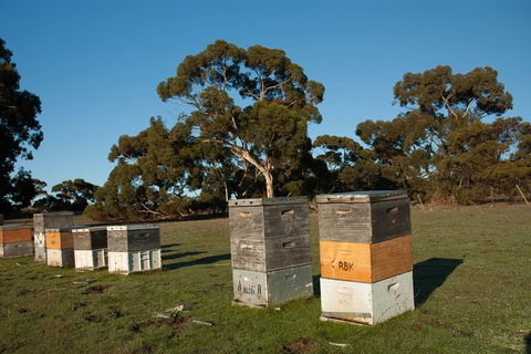 Fine Flavours - Full Day Kangaroo Island Food & Wine Tour - Holiday Adelaide 5