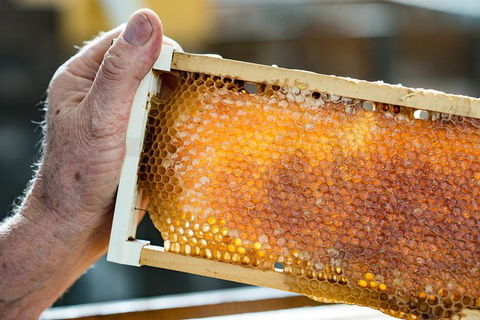 Fine Flavours - Full Day Kangaroo Island Food & Wine Tour - Holiday Adelaide 0