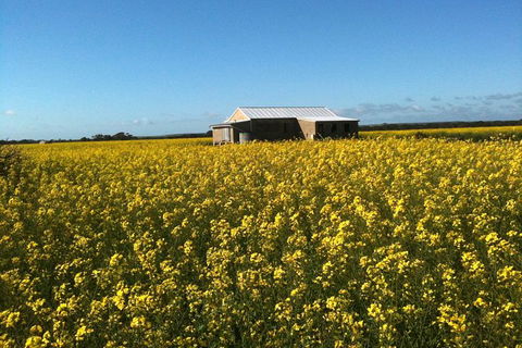 Fine Flavours - Full Day Kangaroo Island Food & Wine Tour - Holiday Adelaide 11