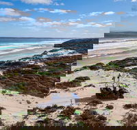 Small-Group Buggy Tour at Little Sahara with Guide - Holiday Adelaide