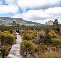 Cradle Mountain Day Tour