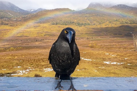 Cradle Mountain Park Explorer - Holiday Adelaide 5