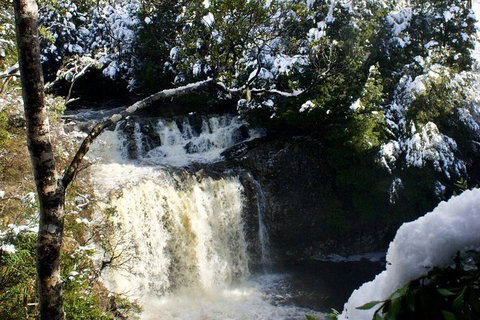Cradle Mountain Park Explorer - Holiday Adelaide 1