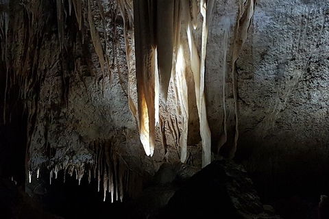 Shore Excursion: Coast, Caves And Wildlife Park - 8 Hour Tour - Holiday Adelaide 10