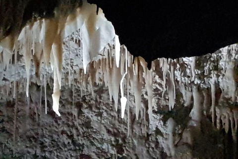 Shore Excursion: Coast, Caves And Wildlife Park - 8 Hour Tour - Holiday Adelaide 21
