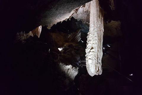 Shore Excursion: Coast, Caves And Wildlife Park - 8 Hour Tour - Holiday Adelaide 12