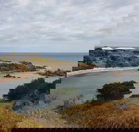 Shore Excursion Coast Caves and Wildlife Park - 8 hour tour - Holiday Adelaide