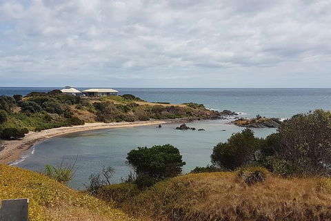 Shore Excursion: Coast, Caves And Wildlife Park - 8 Hour Tour - Holiday Adelaide 0