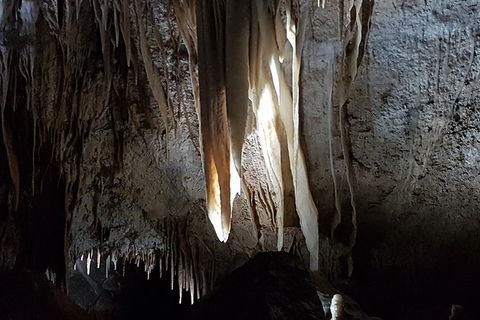 Shore Excursion: Coast, Caves And Wildlife Park - 8 Hour Tour - Holiday Adelaide 7