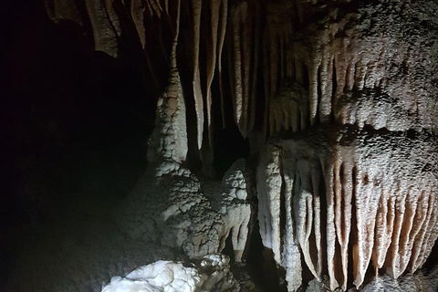 Shore Excursion: Coast, Caves And Wildlife Park - 8 Hour Tour - Holiday Adelaide 8