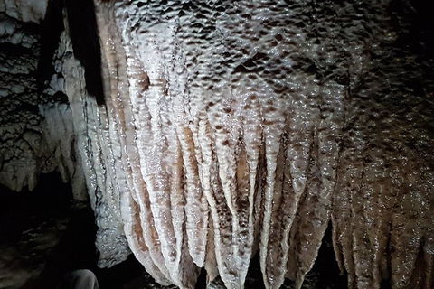 Shore Excursion: Coast, Caves And Wildlife Park - 8 Hour Tour - Holiday Adelaide 13