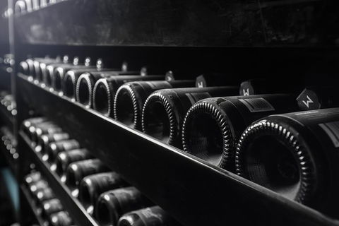 Private Winery Tour And Tasting In Moorilla And Mona Museum - Holiday Adelaide 3