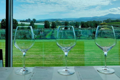 Yarra Valley Cellar Door And Gin Day - Holiday Adelaide 2