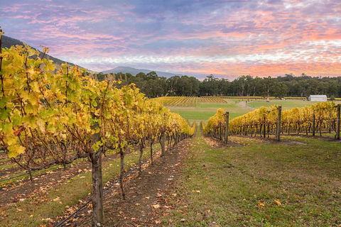 Yarra Valley Boutique Winery Tour From Melbourne - Holiday Adelaide 0