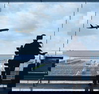 Private Transfer Avalon International Airport AVV to Melbourne - Holiday Adelaide