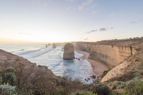 PRIVATE Great Ocean Road Tour And 12 Apostles With Wildlife Spotting - Holiday Adelaide 0