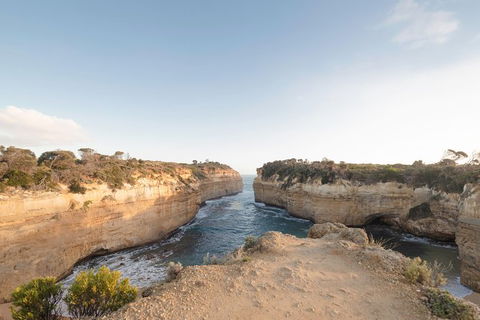 PRIVATE Great Ocean Road Tour And 12 Apostles With Wildlife Spotting - Holiday Adelaide 1