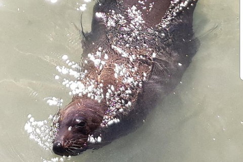 Warrnambool Wanderer Tour - Holiday Adelaide 5