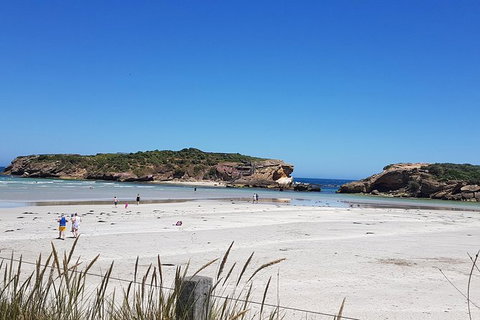 Warrnambool Wanderer Tour - Holiday Adelaide 1