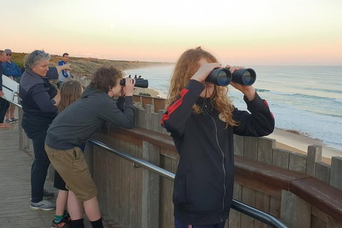 Warrnambool Wanderer Tour - Holiday Adelaide 2
