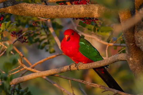 LGBT+ Friendly 12-Hour Great Ocean Road Private Tour - Holiday Adelaide 1