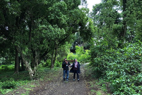 Alices Journeys Guided Walking Tours Of Daylesford - Holiday Adelaide 5