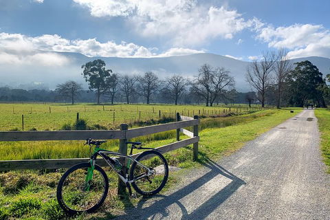 Aqueduct And Rail Trail Self-Guided Bike Tour In Warburton - Holiday Adelaide 5