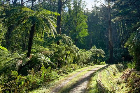 Aqueduct And Rail Trail Self-Guided Bike Tour In Warburton - Holiday Adelaide 3