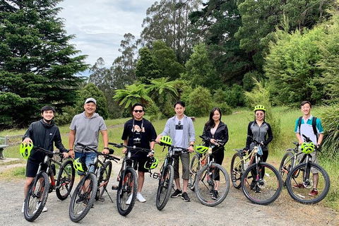Aqueduct And Rail Trail Self-Guided Bike Tour In Warburton - Holiday Adelaide 0