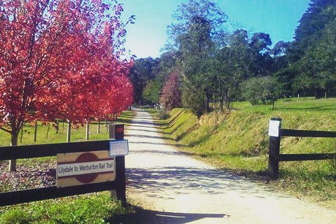 Aqueduct And Rail Trail Self-Guided Bike Tour In Warburton - Holiday Adelaide 4