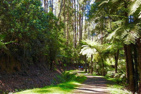 Half-Day Biking Activity From Aqueduct To California Redwoods - Holiday Adelaide 2