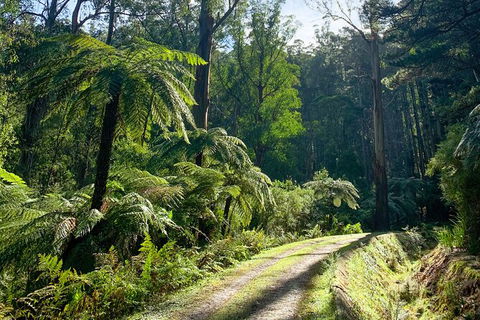 Half-Day Biking Activity From Aqueduct To California Redwoods - Holiday Adelaide 1