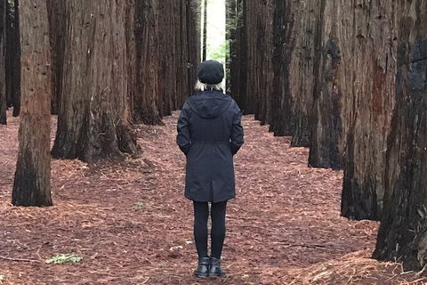 Half-Day Biking Activity From Aqueduct To California Redwoods - Holiday Adelaide 0