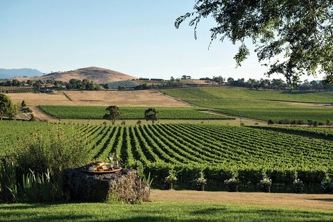 Yarra Valley 2-6 Guests Premium Food And Wine Inc Lunch At Dominique Portet - Holiday Adelaide 1