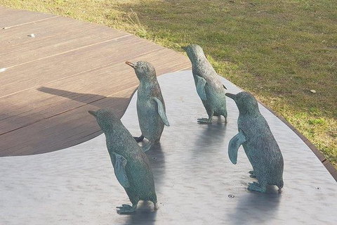 Phillip Island Penguin And Wildlife Tour - Holiday Adelaide 14
