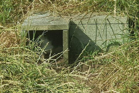 Phillip Island Penguin And Wildlife Tour - Holiday Adelaide 11