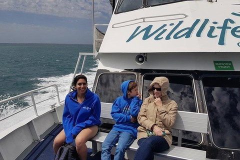 Phillip Island Penguin And Wildlife Tour - Holiday Adelaide 15