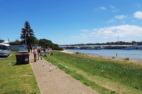Phillip Island Penguin And Wildlife Tour - Holiday Adelaide 25