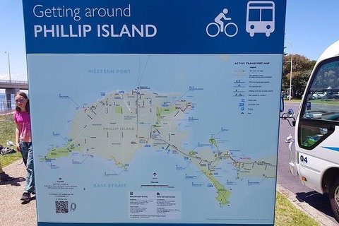 Phillip Island Penguin And Wildlife Tour - Holiday Adelaide 28